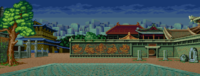 Howard Arena from Fatal Fury